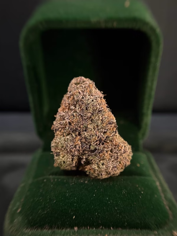 BUBBLEGUM POPPERZ