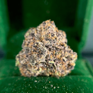STICKY MAPLE