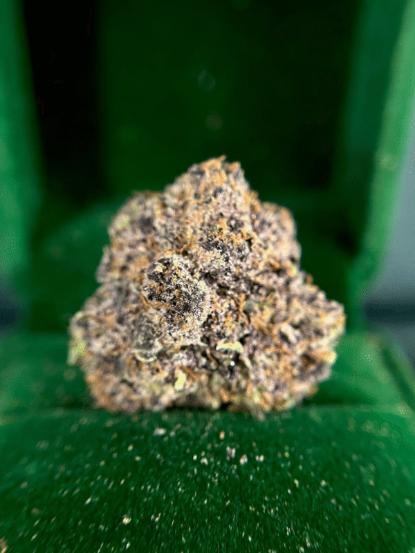 STICKY MAPLE