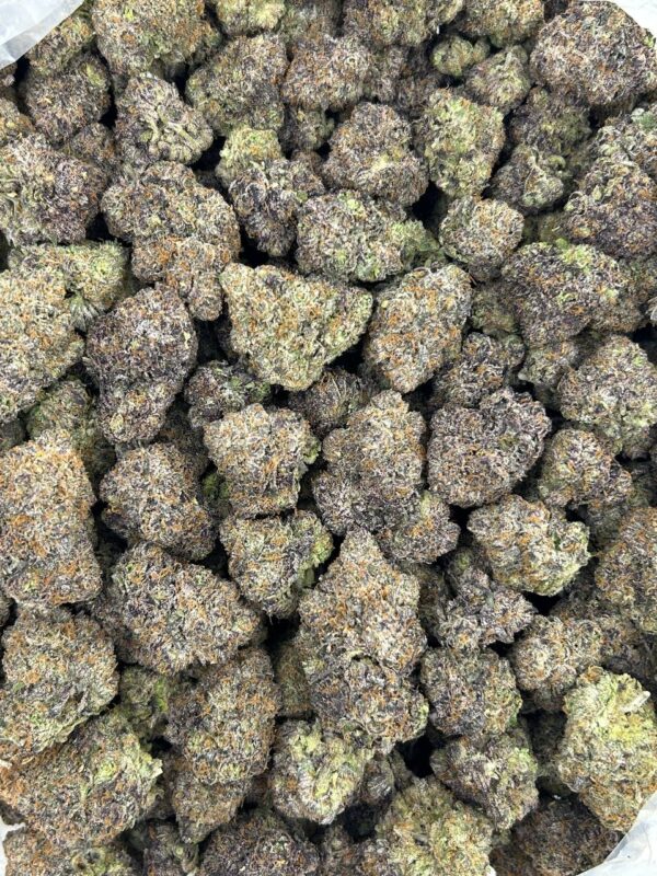 STICKY MAPLE - Image 2
